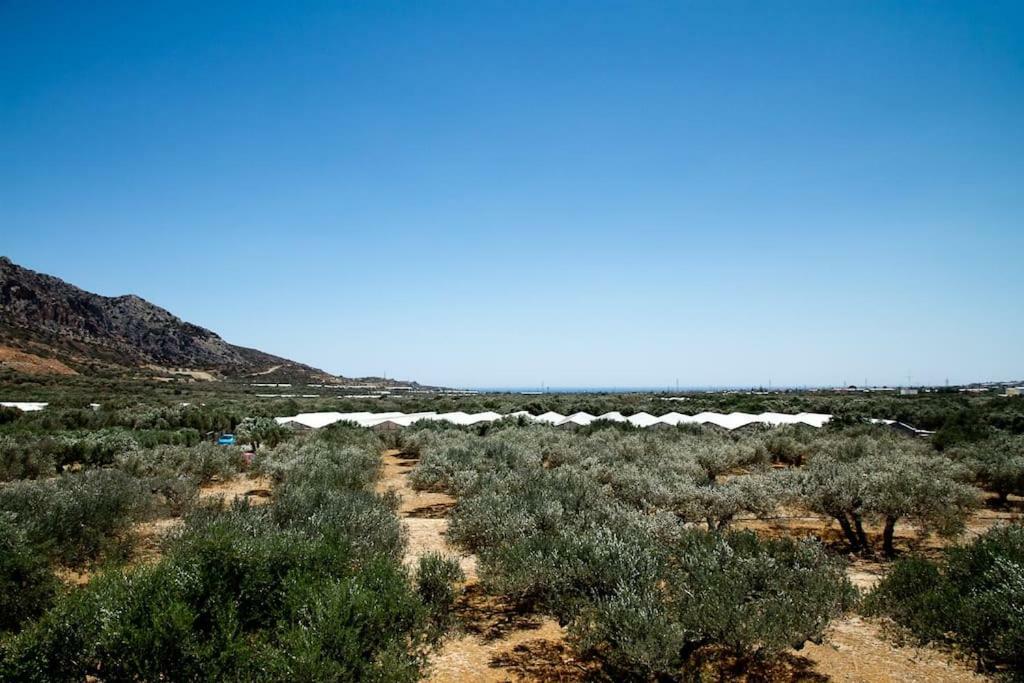 Ierapetra Garden House Leilighet Eksteriør bilde